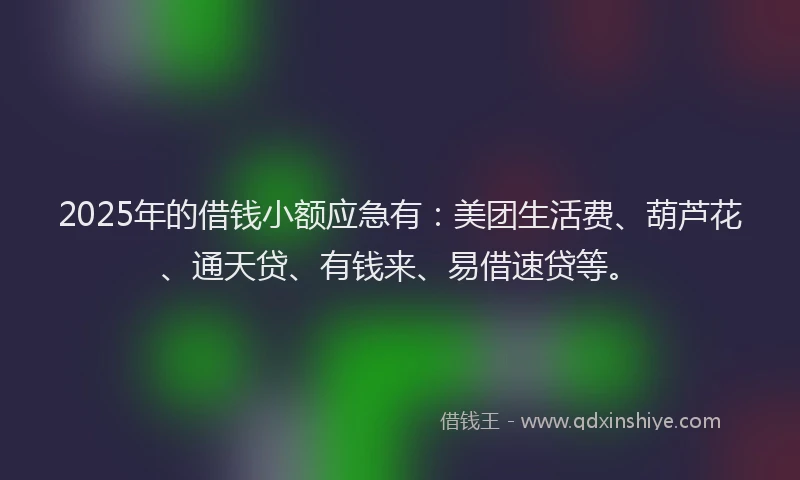 2025年的借钱小额应急有：美团生活费、葫芦花、通天贷、有钱来、易借速贷等。