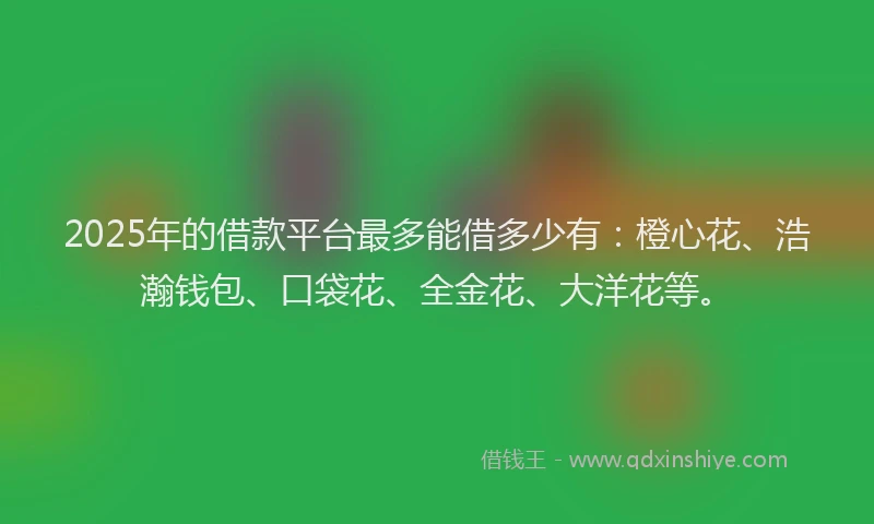2025年的借款平台最多能借多少有：橙心花、浩瀚钱包、口袋花、全金花、大洋花等。