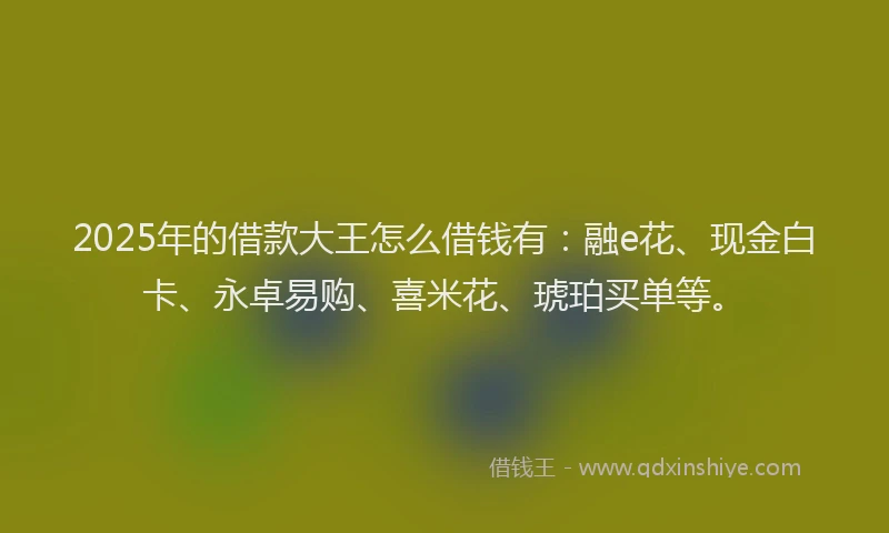 2025年的借款大王怎么借钱有：融e花、现金白卡、永卓易购、喜米花、琥珀买单等。