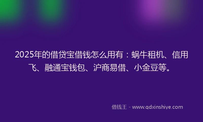 2025年的借贷宝借钱怎么用有：蜗牛租机、信用飞、融通宝钱包、沪商易借、小金豆等。