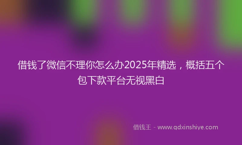 借钱了微信不理你怎么办2025年精选，概括五个包下款平台无视黑白
