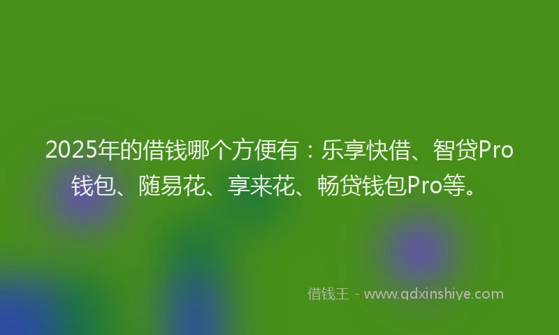 2025年的借钱哪个方便有：乐享快借、智贷Pro钱包、随易花、享来花、畅贷钱包Pro等。