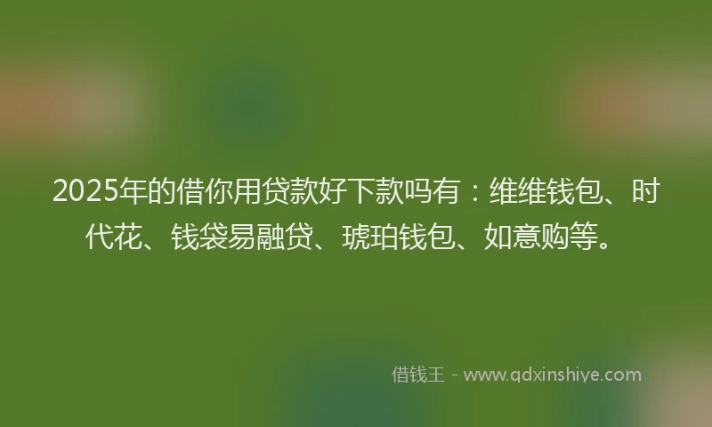 2025年的借你用贷款好下款吗有：维维钱包、时代花、钱袋易融贷、琥珀钱包、如意购等。