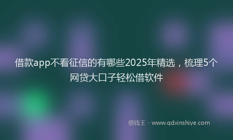 借款app不看征信的有哪些2025年精选，梳理5个网贷大口子轻松借软件