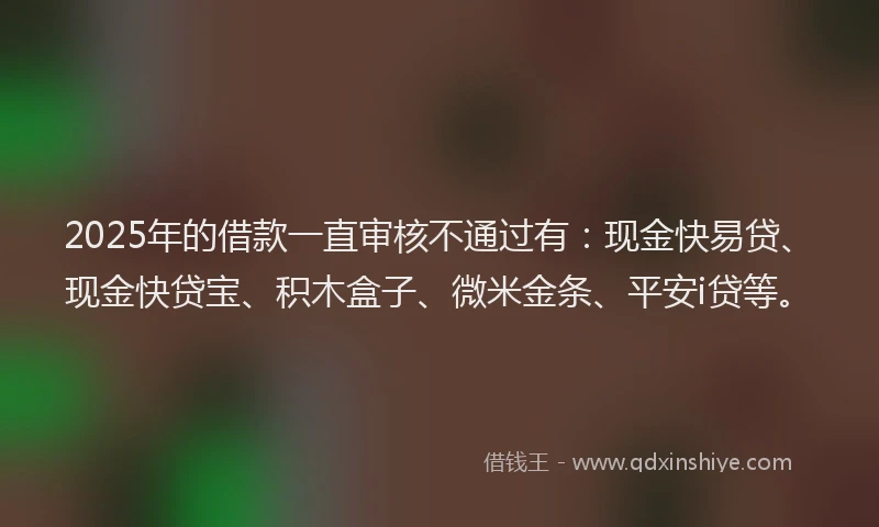 2025年的借款一直审核不通过有：现金快易贷、现金快贷宝、积木盒子、微米金条、平安i贷等。