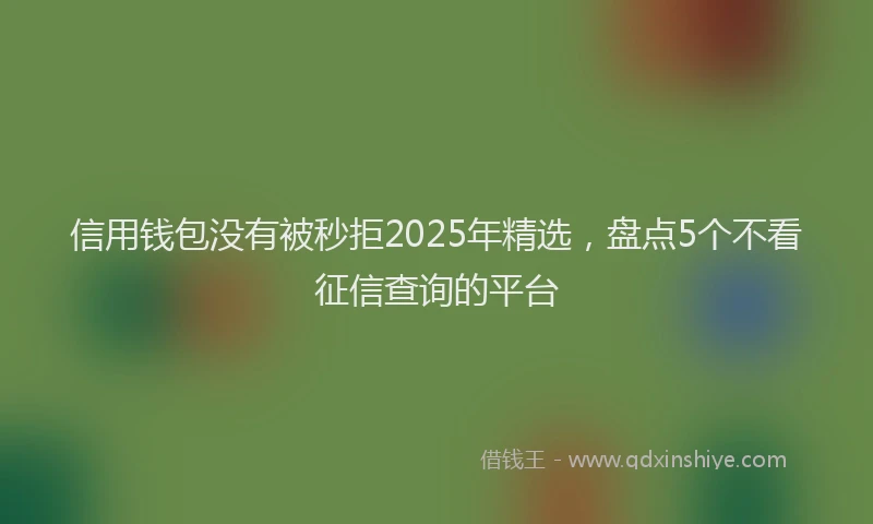 信用钱包没有被秒拒2025年精选，盘点5个不看征信查询的平台