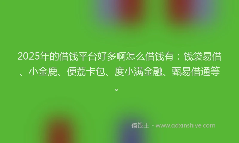 2025年的借钱平台好多啊怎么借钱有：钱袋易借、小金鹿、便荔卡包、度小满金融、甄易借通等。