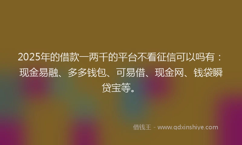 2025年的借款一两千的平台不看征信可以吗有：现金易融、多多钱包、可易借、现金网、钱袋瞬贷宝等。