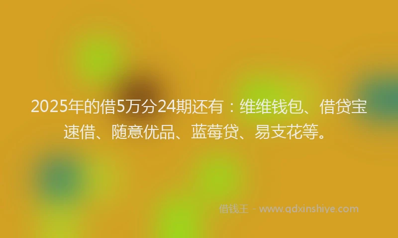 2025年的借5万分24期还有：维维钱包、借贷宝速借、随意优品、蓝莓贷、易支花等。