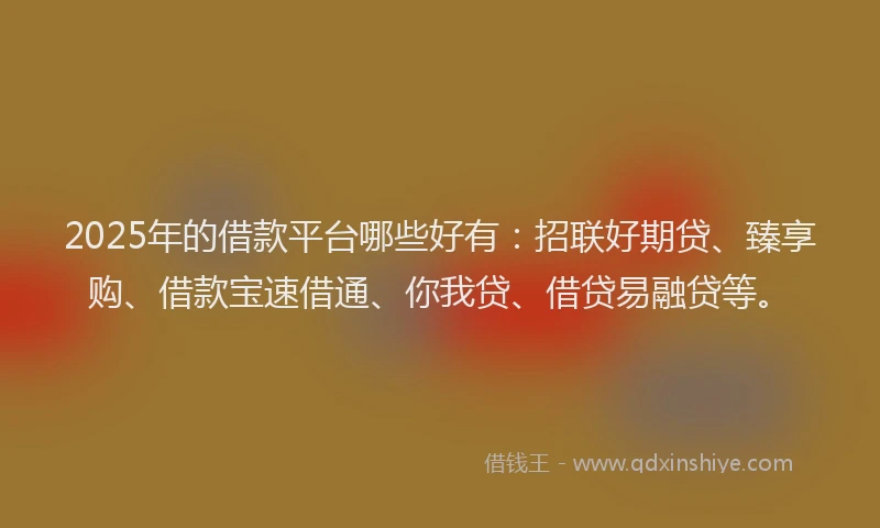 2025年的借款平台哪些好有：招联好期贷、臻享购、借款宝速借通、你我贷、借贷易融贷等。