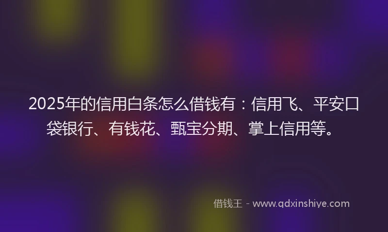 2025年的信用白条怎么借钱有：信用飞、平安口袋银行、有钱花、甄宝分期、掌上信用等。