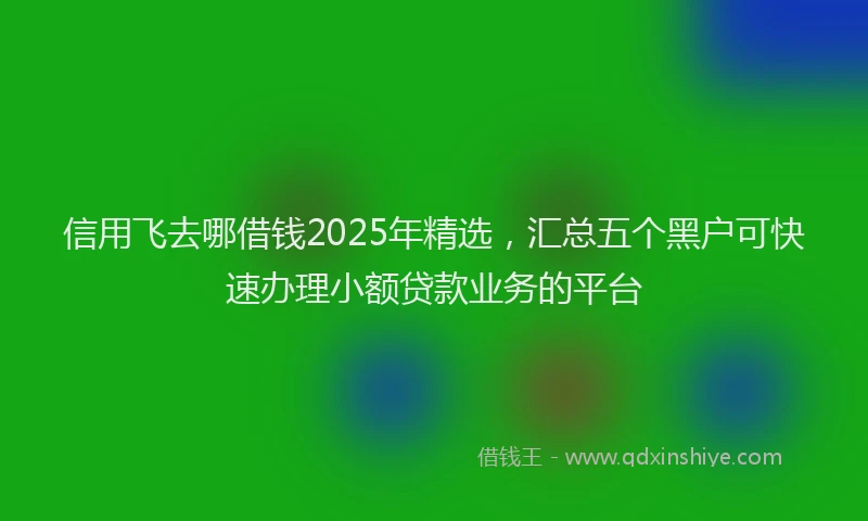 信用飞去哪借钱2025年精选,汇总五个黑户可快速办理小额贷款业务的平台
