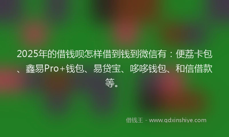 2025年的借钱呗怎样借到钱到微信有：便荔卡包、鑫易Pro+钱包、易贷宝、哆哆钱包、和信借款等。