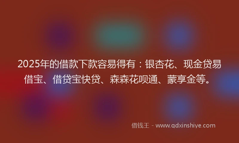 2025年的借款下款容易得有：银杏花、现金贷易借宝、借贷宝快贷、森森花呗通、蒙享金等。