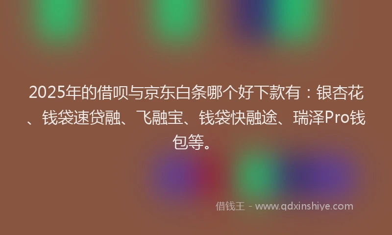 2025年的借呗与京东白条哪个好下款有：银杏花、钱袋速贷融、飞融宝、钱袋快融途、瑞泽Pro钱包等。