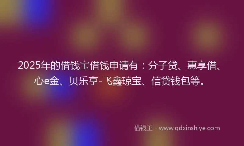2025年的借钱宝借钱申请有：分子贷、惠享借、心e金、贝乐享-飞鑫琼宝、信贷钱包等。