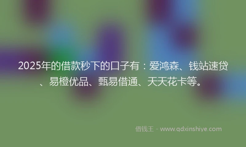 2025年的借款秒下的口子有：爱鸿森、钱站速贷、易橙优品、甄易借通、天天花卡等。