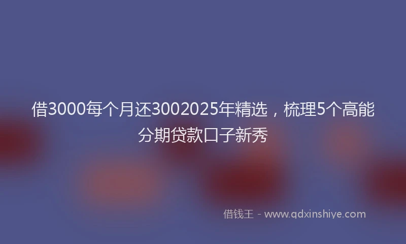 借3000每个月还3002025年精选，梳理5个高能分期贷款口子新秀