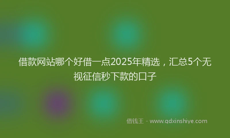 借款网站哪个好借一点2025年精选，汇总5个无视征信秒下款的口子
