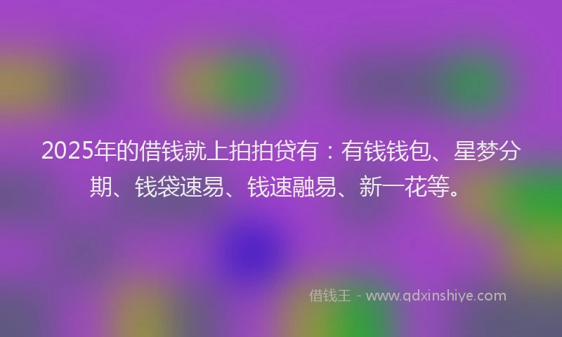 2025年的借钱就上拍拍贷有：有钱钱包、星梦分期、钱袋速易、钱速融易、新一花等。