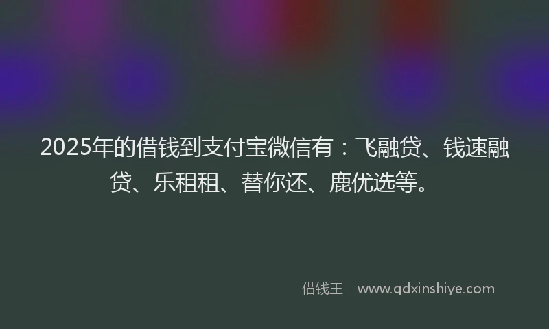 2025年的借钱到支付宝微信有：飞融贷、钱速融贷、乐租租、替你还、鹿优选等。