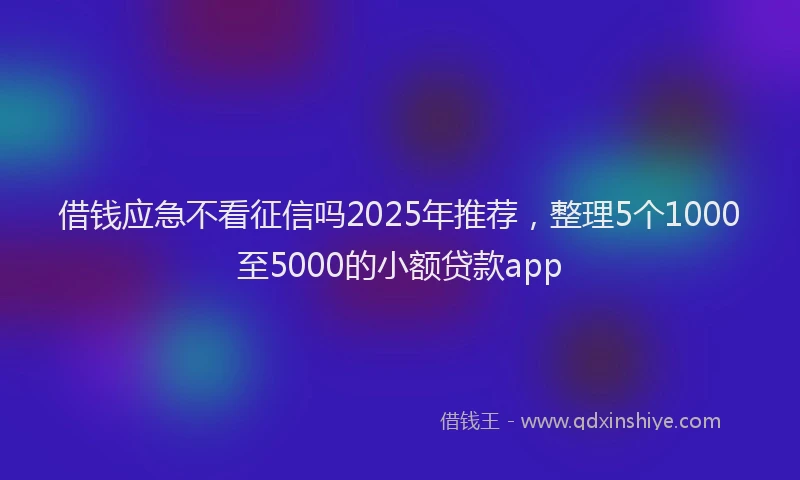借钱应急不看征信吗2025年推荐，整理5个1000至5000的小额贷款app