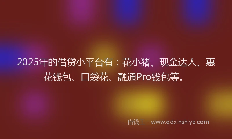2025年的借贷小平台有：花小猪、现金达人、惠花钱包、口袋花、融通Pro钱包等。