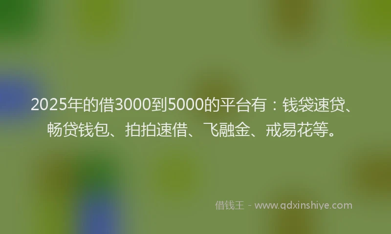 2025年的借3000到5000的平台有：钱袋速贷、畅贷钱包、拍拍速借、飞融金、戒易花等。