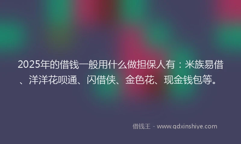 2025年的借钱一般用什么做担保人有：米族易借、洋洋花呗通、闪借侠、金色花、现金钱包等。