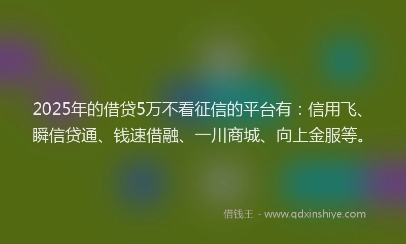 2025年的借贷5万不看征信的平台有：信用飞、瞬信贷通、钱速借融、一川商城、向上金服等。
