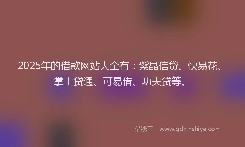 2025年的借款网站大全有：紫晶信贷、快易花、掌上贷通、可易借、功夫贷等。