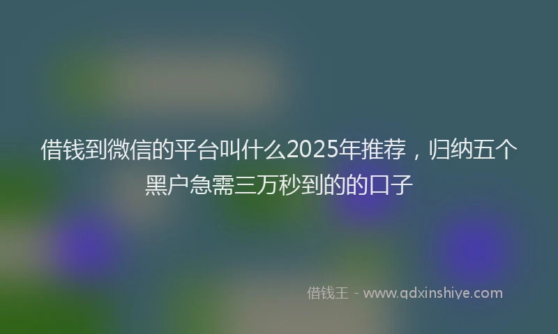 借钱到微信的平台叫什么2025年推荐，归纳五个黑户急需三万秒到的的口子