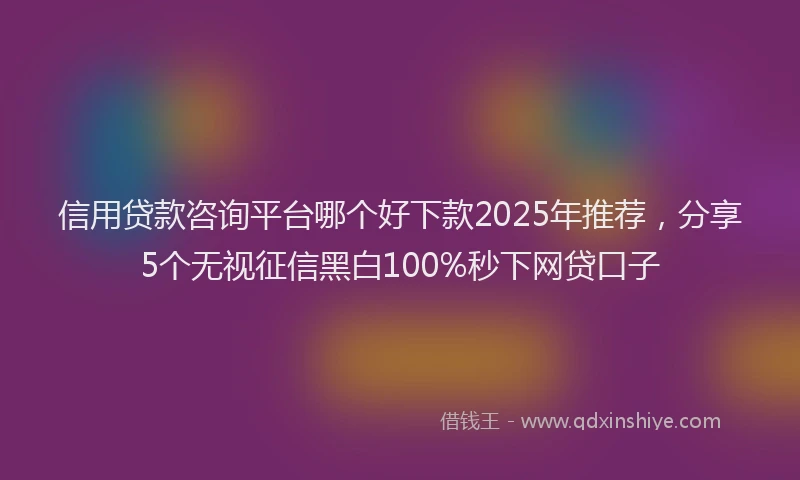 信用贷款咨询平台哪个好下款2025年推荐，分享5个无视征信黑白100%秒下网贷口子