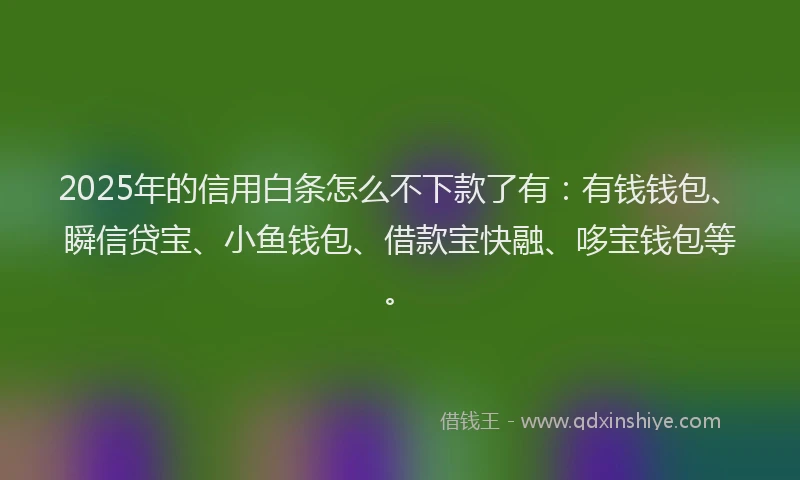 2025年的信用白条怎么不下款了有：有钱钱包、瞬信贷宝、小鱼钱包、借款宝快融、哆宝钱包等。