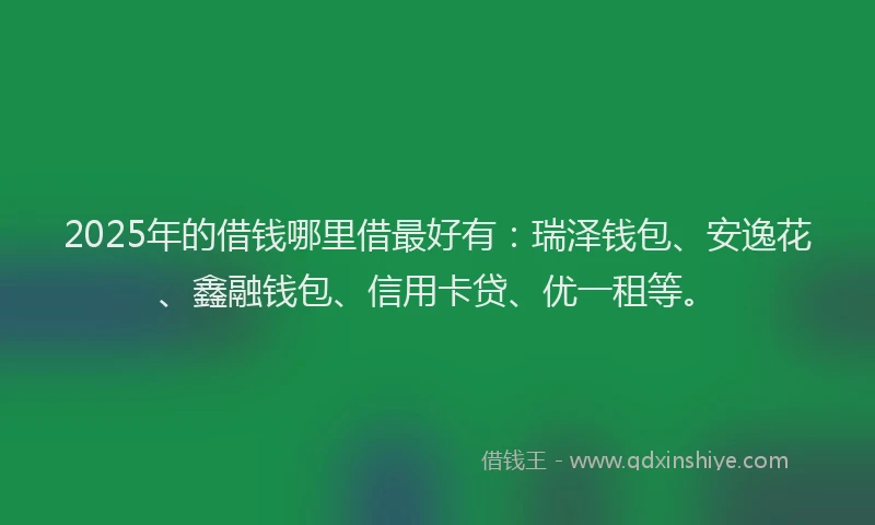 2025年的借钱哪里借最好有：瑞泽钱包、安逸花、鑫融钱包、信用卡贷、优一租等。