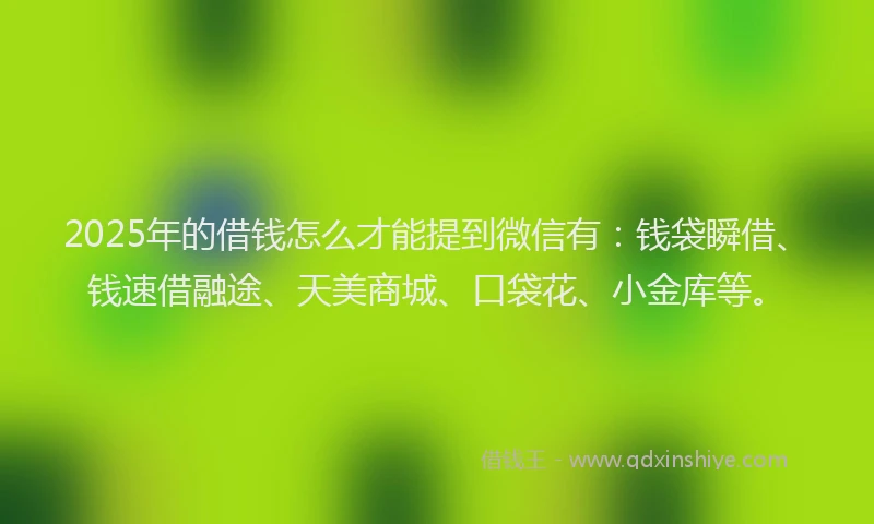 2025年的借钱怎么才能提到微信有：钱袋瞬借、钱速借融途、天美商城、口袋花、小金库等。