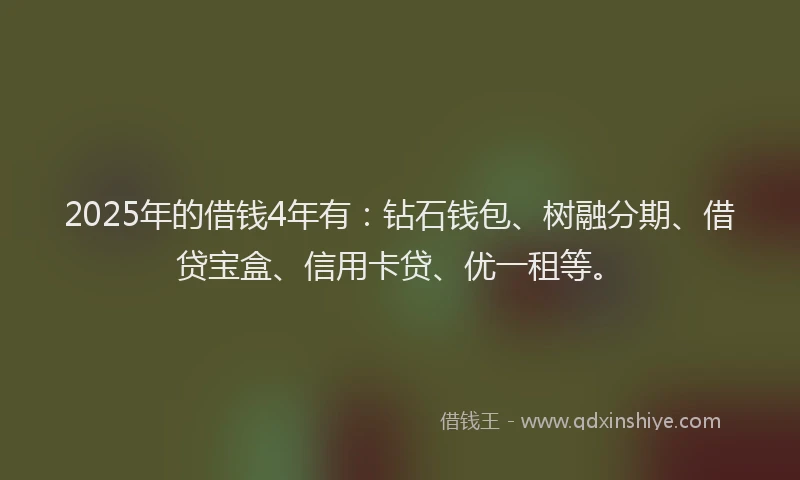 2025年的借钱4年有：钻石钱包、树融分期、借贷宝盒、信用卡贷、优一租等。