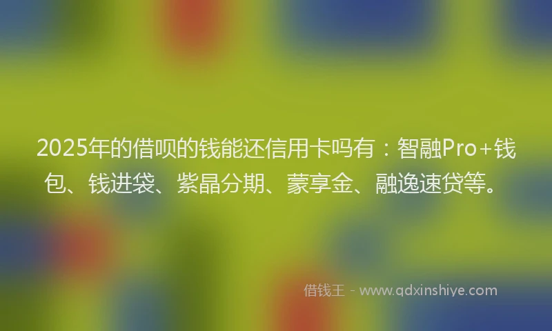 2025年的借呗的钱能还信用卡吗有：智融Pro+钱包、钱进袋、紫晶分期、蒙享金、融逸速贷等。