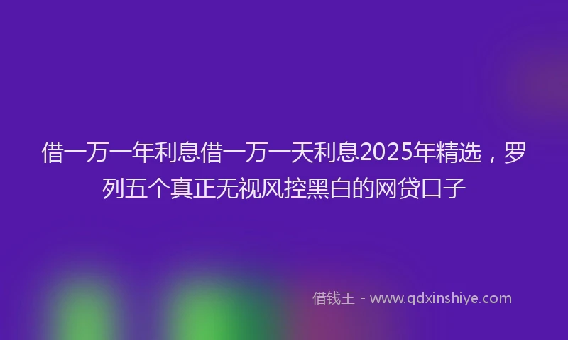 借一万一年利息借一万一天利息2025年精选，罗列五个真正无视风控黑白的网贷口子