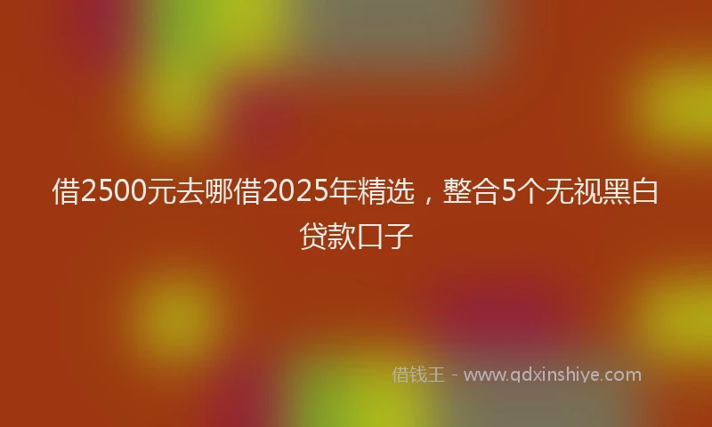 借2500元去哪借2025年精选，整合5个无视黑白贷款口子