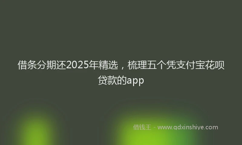 借条分期还2025年精选，梳理五个凭支付宝花呗贷款的app