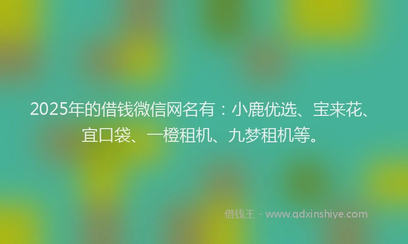 2025年的借钱微信网名有：小鹿优选、宝来花、宜口袋、一橙租机、九梦租机等。
