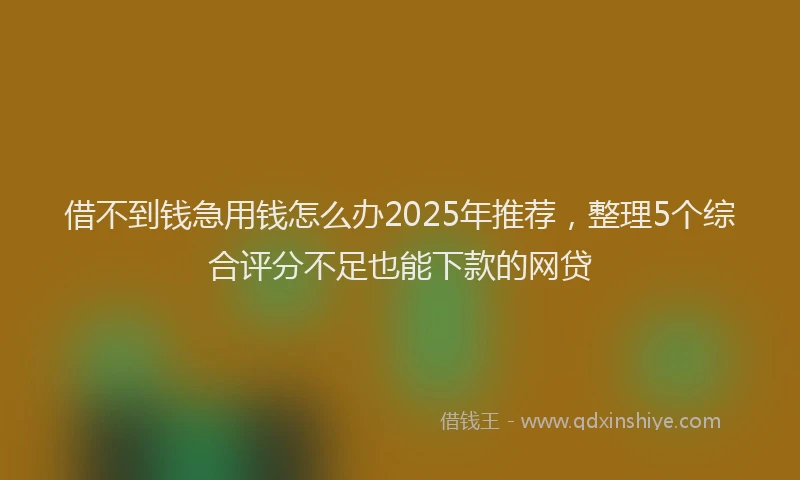 借不到钱急用钱怎么办2025年推荐，整理5个综合评分不足也能下款的网贷