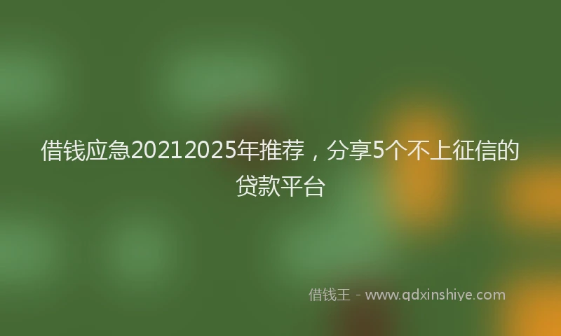 借钱应急20212025年推荐，分享5个不上征信的贷款平台