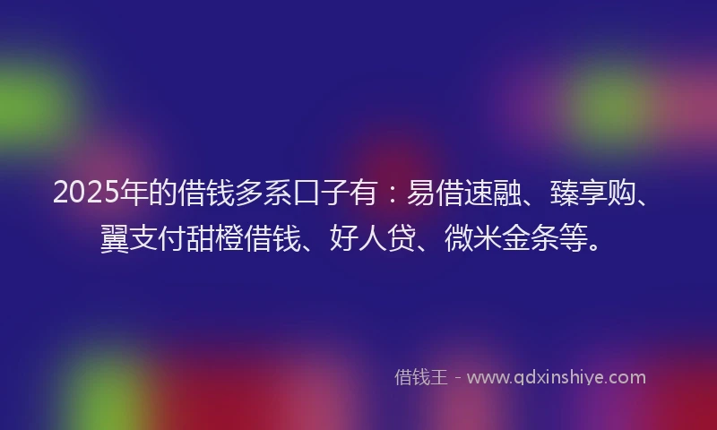 2025年的借钱多系口子有：易借速融、臻享购、翼支付甜橙借钱、好人贷、微米金条等。