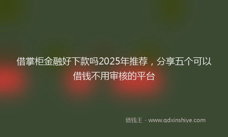 借掌柜金融好下款吗2025年推荐，分享五个可以借钱不用审核的平台