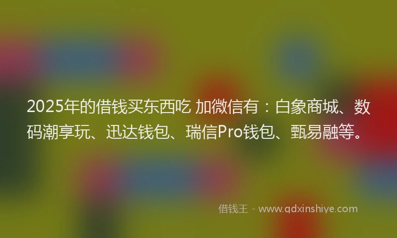 2025年的借钱买东西吃 加微信有：白象商城、数码潮享玩、迅达钱包、瑞信Pro钱包、甄易融等。