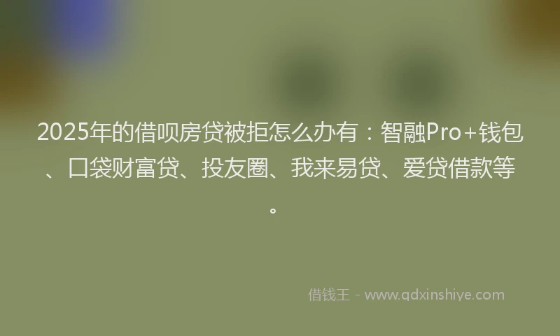 2025年的借呗房贷被拒怎么办有：智融Pro+钱包、口袋财富贷、投友圈、我来易贷、爱贷借款等。