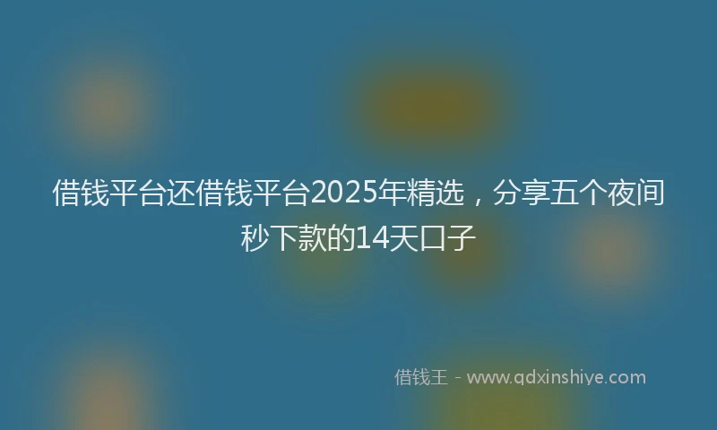 借钱平台还借钱平台2025年精选，分享五个夜间秒下款的14天口子