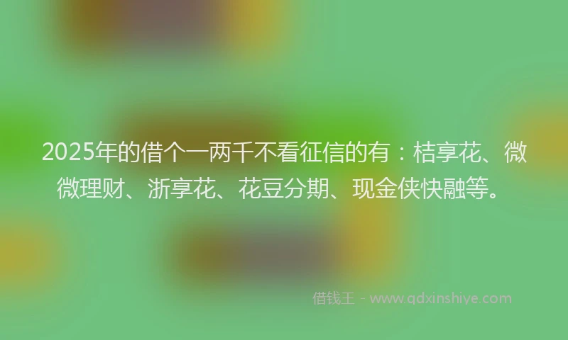 2025年的借个一两千不看征信的有：桔享花、微微理财、浙享花、花豆分期、现金侠快融等。